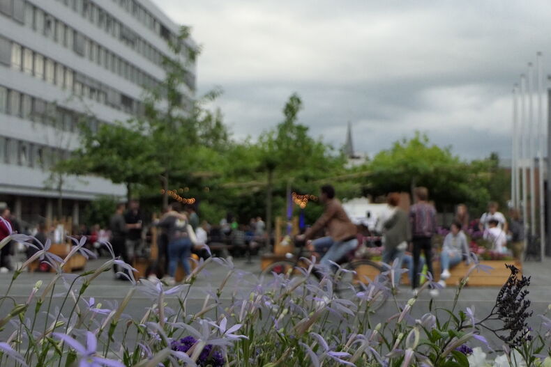 Das Bild zeigt blau-lila Pflanzen im Vordergrund und unscharf im Hintergrund eine Veranstaltung auf dem Platanenplatz am Templergraben.