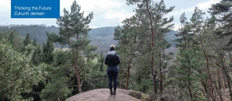 Person on a rock in front of a forest.