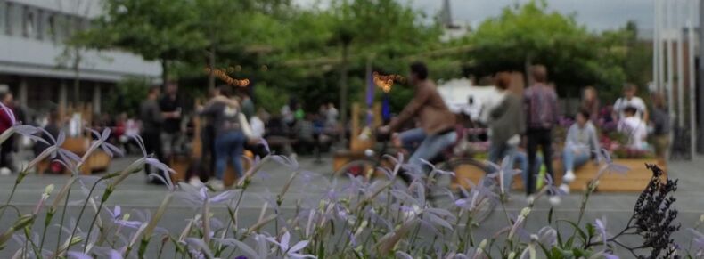 The picture shows blue-purple plants in the foreground and a blurred event on the Platanenplatz on Templergraben in the background.